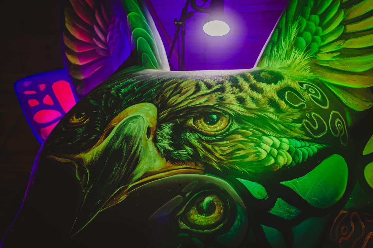 A mural of a green bird painted for the expo