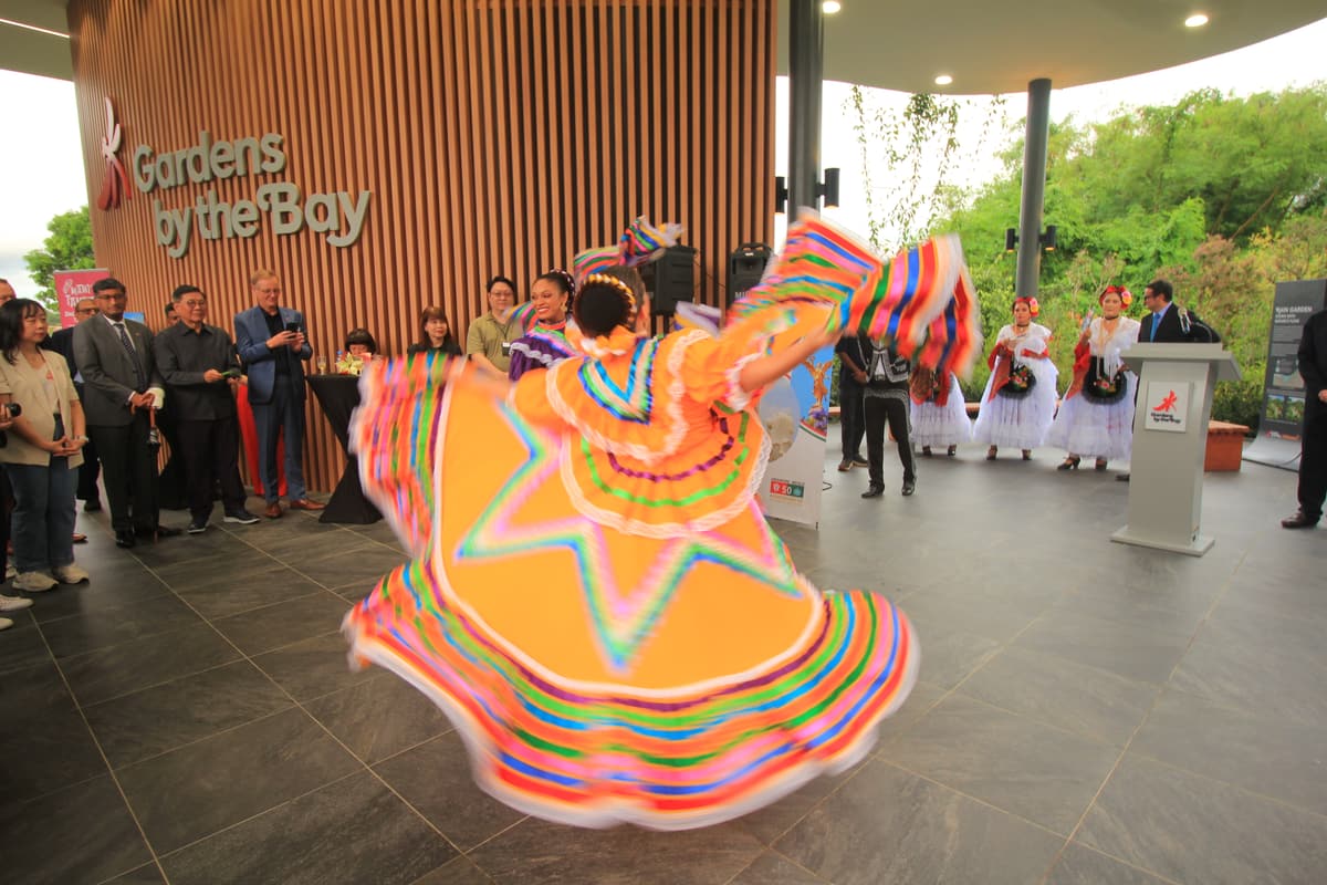 A dancer in a rainbow dress mid-turn