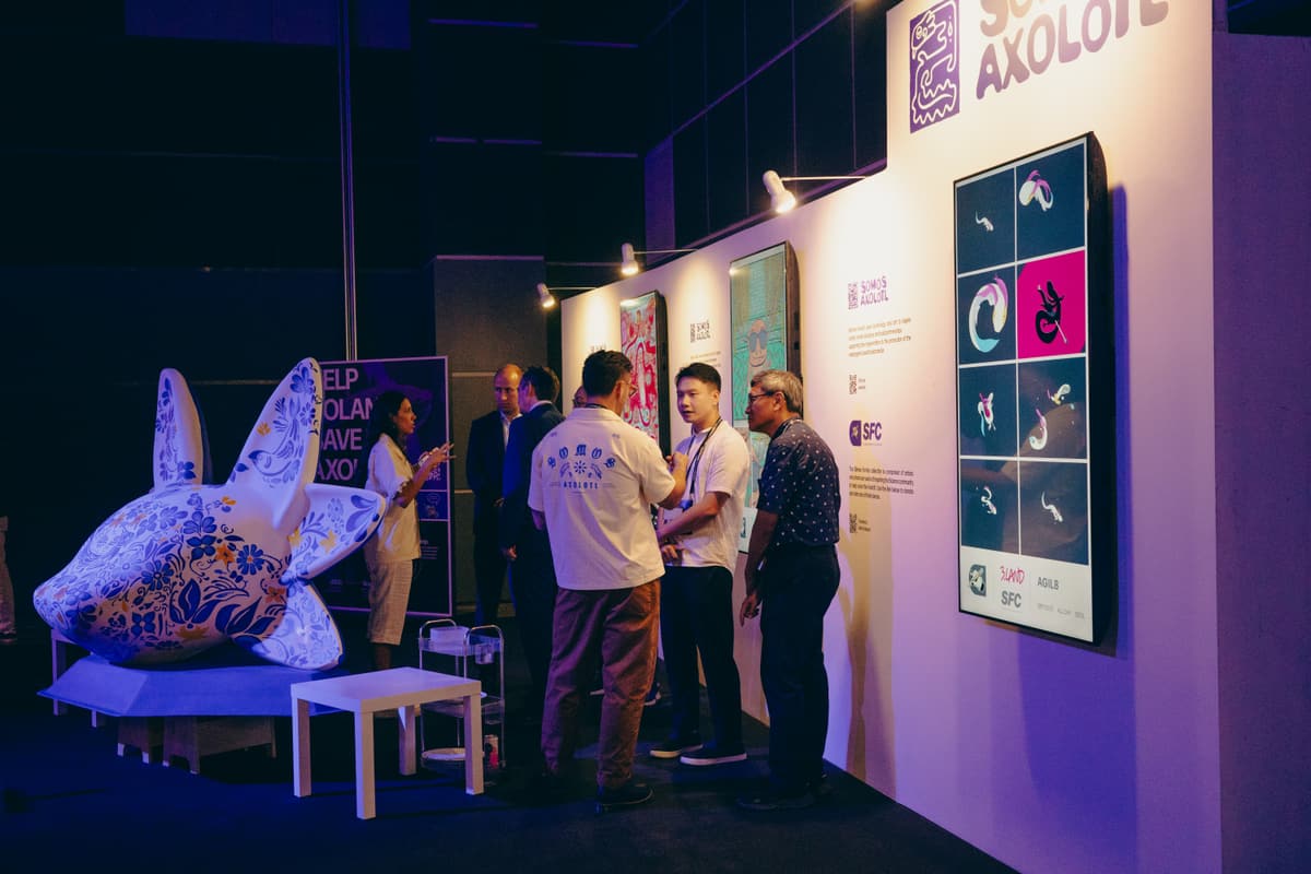 The completed booth: sculpture, printed panels and screens